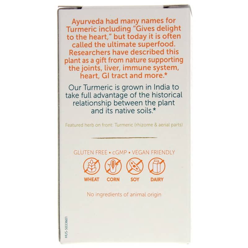 Turmeric 95 with Curcumin, 30 Veg Capsules | Куркума 95 с куркумином, 30 вегетерианских капсул