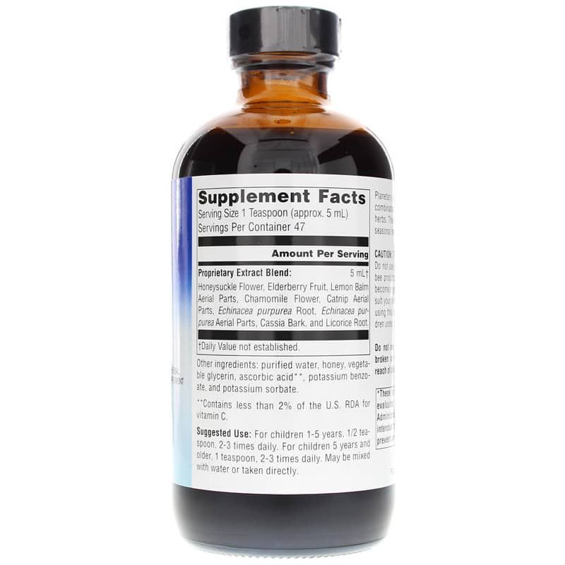 Well Child Echinacea-Elderberry Herbal Syrup, 8 Oz | Травяной сироп эхинацеи и ольхи well child, 8 унций